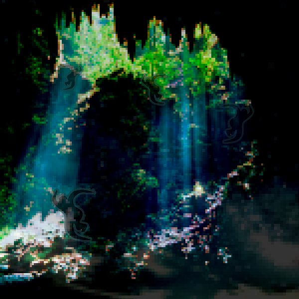 Moving shadows in the caves at Camuy