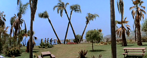 Idyllic palm trees lean to form a W in a beach front park (from It's a Mad, Mad, Mad, Mad World)